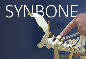 Synbone